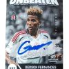 gedson fernandes unbeaten